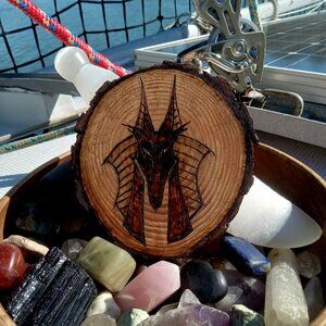 ANUBIS Coaster